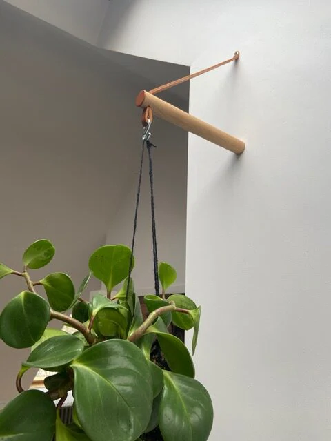 Peg Plant Hanger - Ex-display - Image 3