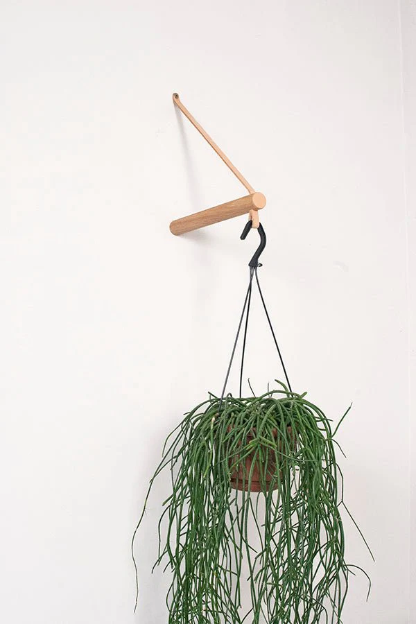 Peg Plant Hanger - Ex-display - Image 5