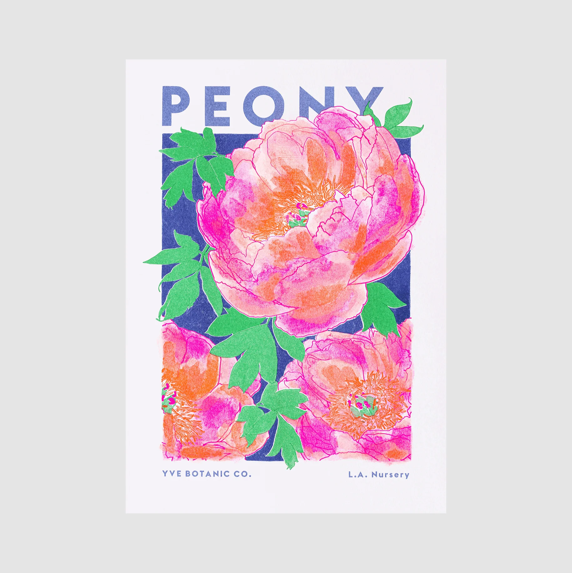 Peony Flower Risograph Print