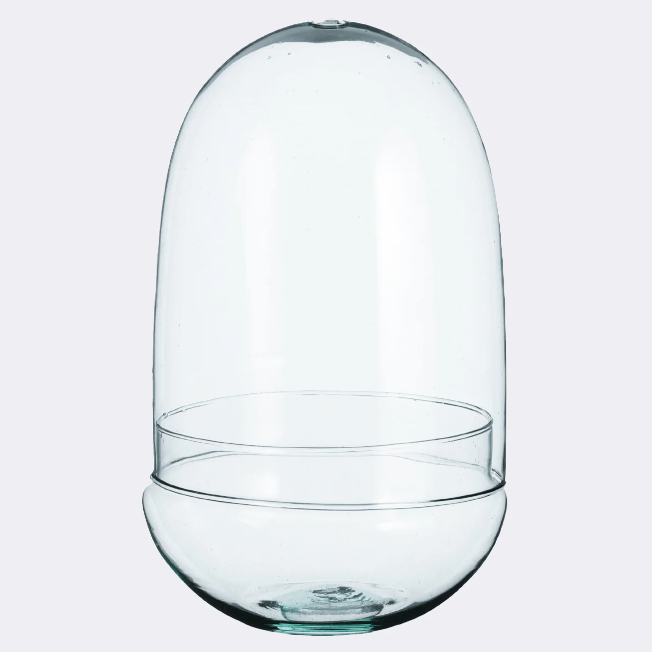 Phil Glass Cloche and Bowl Vessel [Terrarium Supplies]