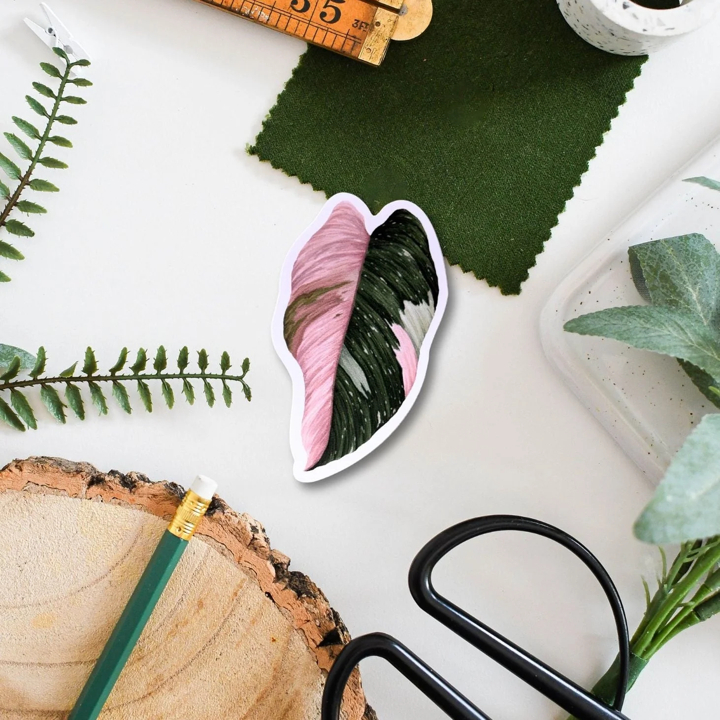 Philodendron ‘Pink Princess’ Tropical Houseplant Vinyl Sticker [Beneath the Canopy RHS Collab] - Image 2
