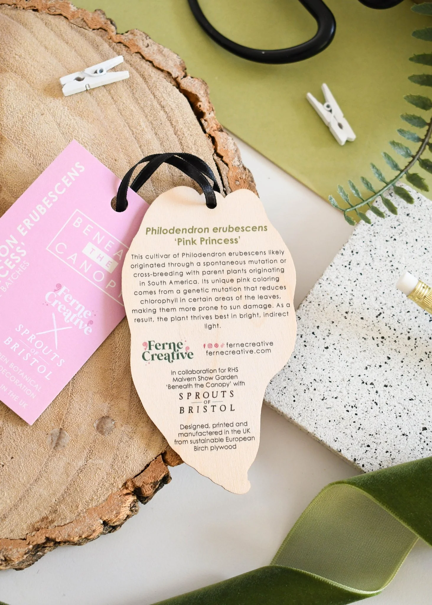 Philodendron ‘Pink Princess’ Wooden Decoration [Beneath the Canopy RHS Collab] - Image 2