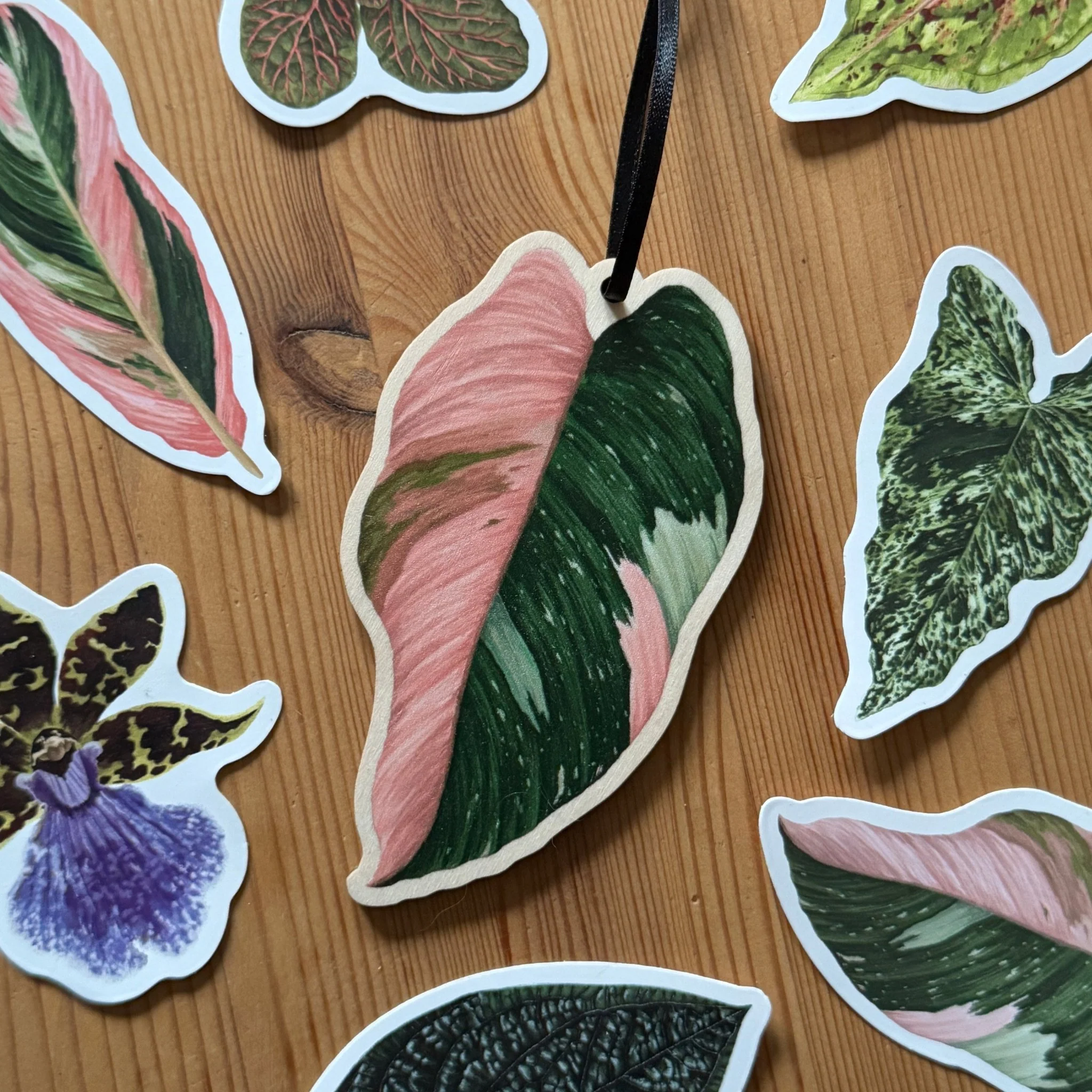 Philodendron ‘Pink Princess’ Wooden Decoration [Beneath the Canopy RHS Collab] - Image 3
