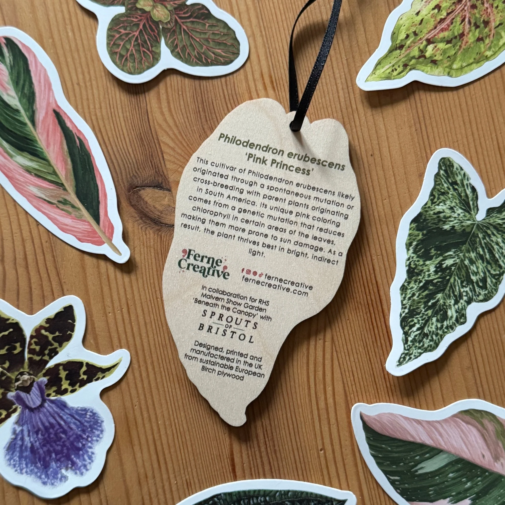 Philodendron ‘Pink Princess’ Wooden Decoration [Beneath the Canopy RHS Collab] - Image 4
