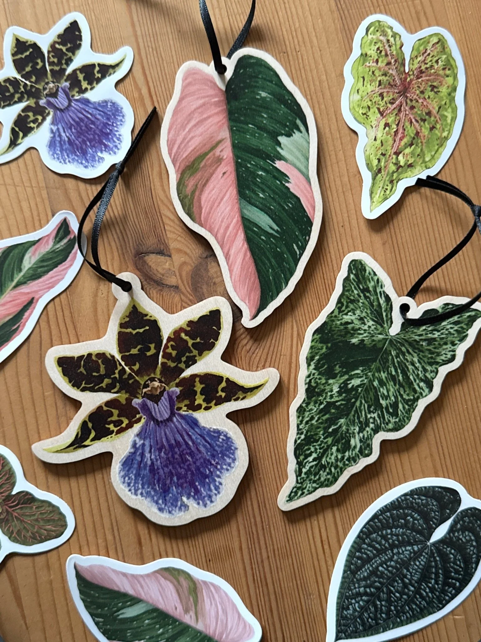 Philodendron ‘Pink Princess’ Wooden Decoration [Beneath the Canopy RHS Collab] - Image 5