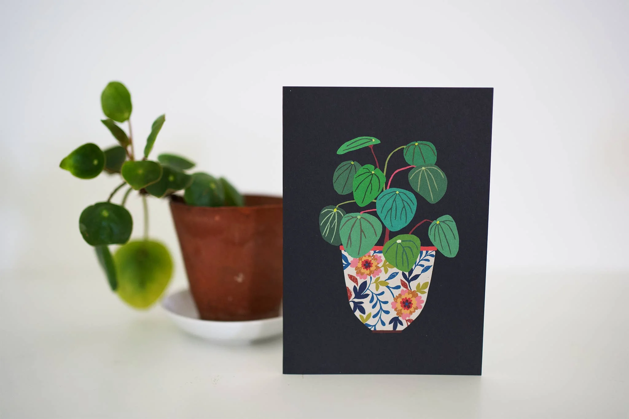 Pilea Greetings Card - Image 2