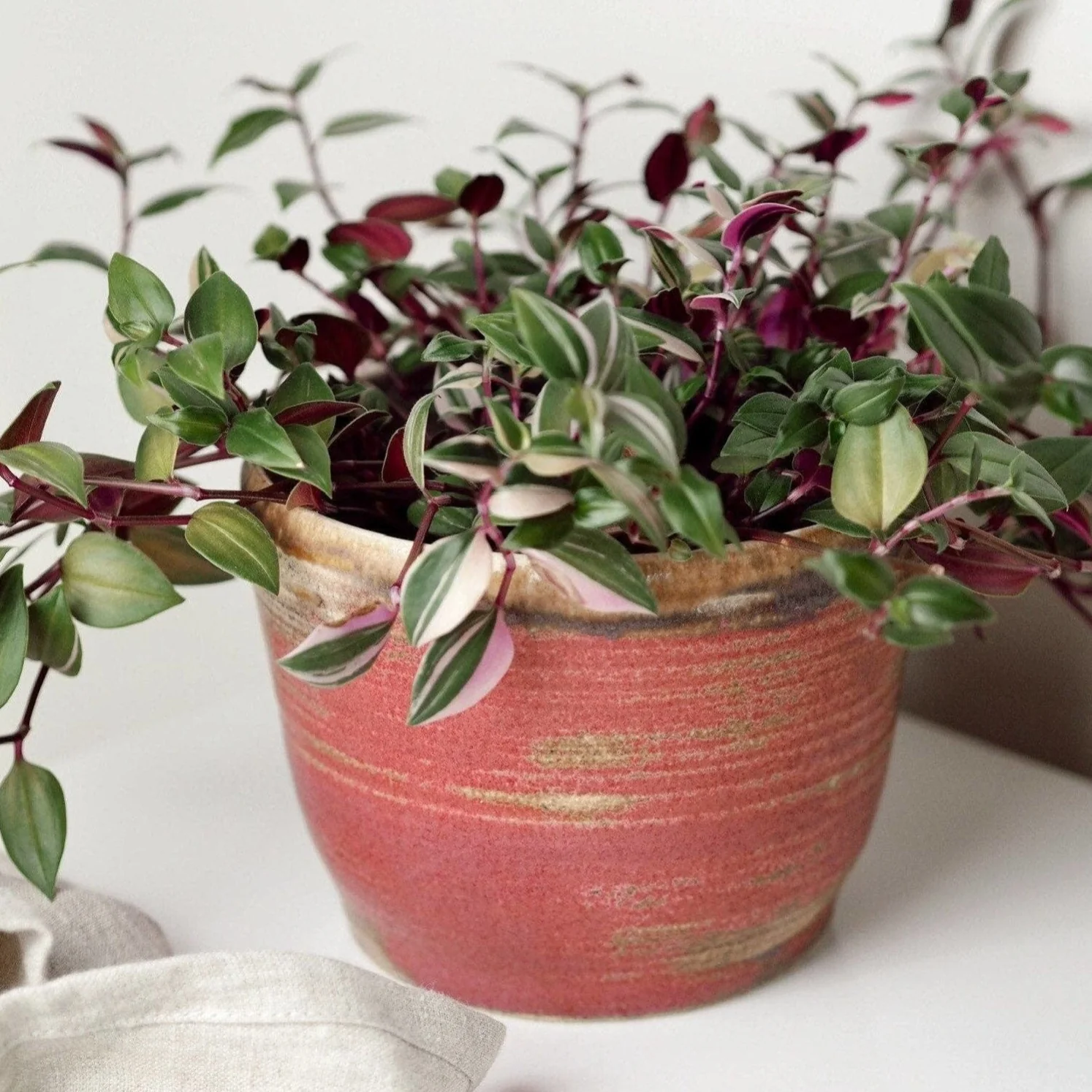 Dark Pink Handmade Ceramic Plant Pot
