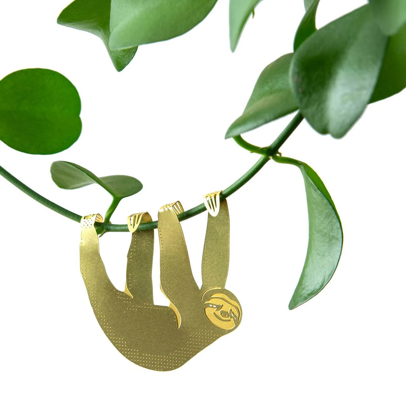 Plant Animal Sloth