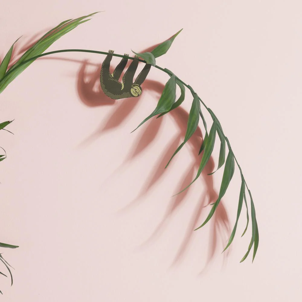 Plant Animal Sloth - Image 2