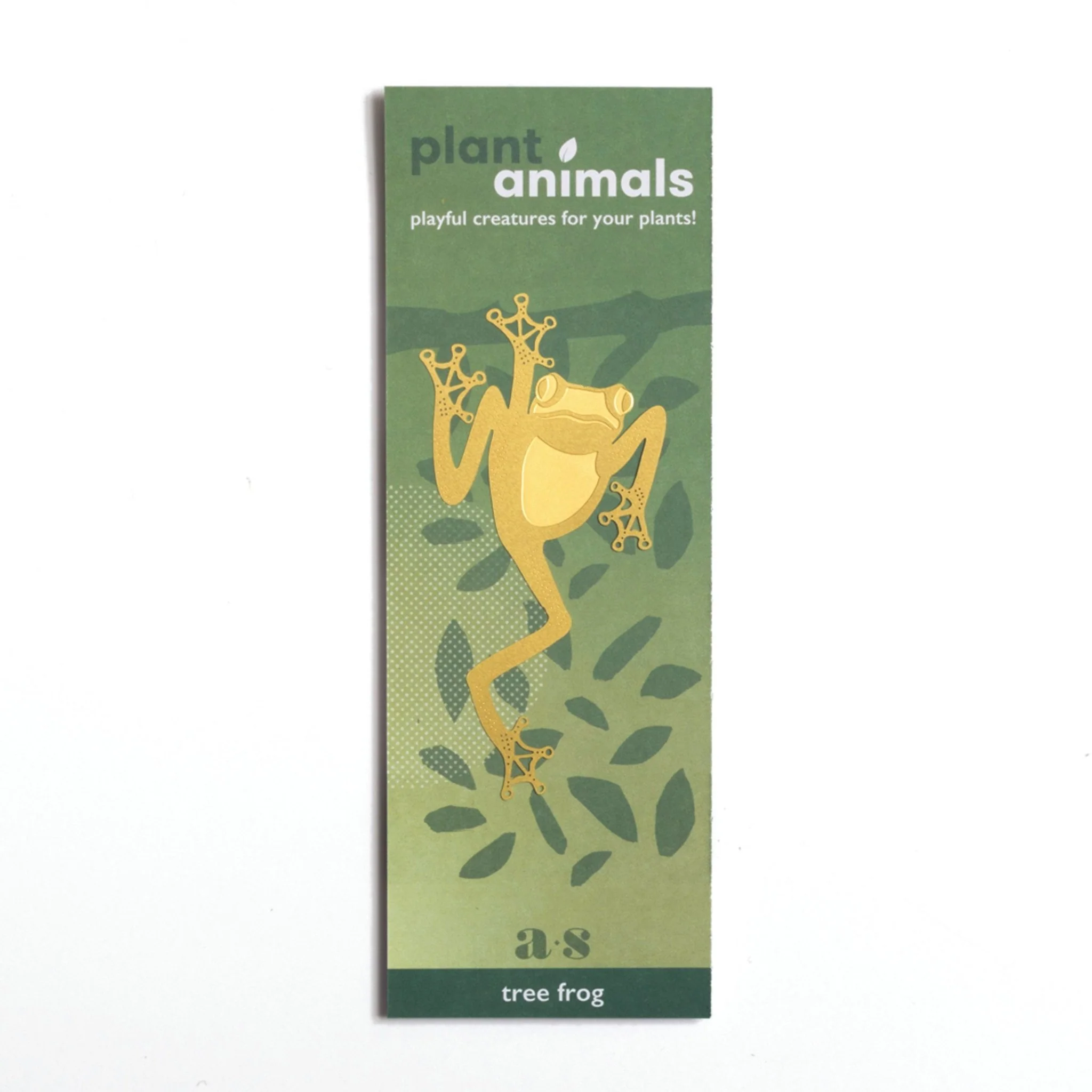Plant Animal Tree Frog - Image 3
