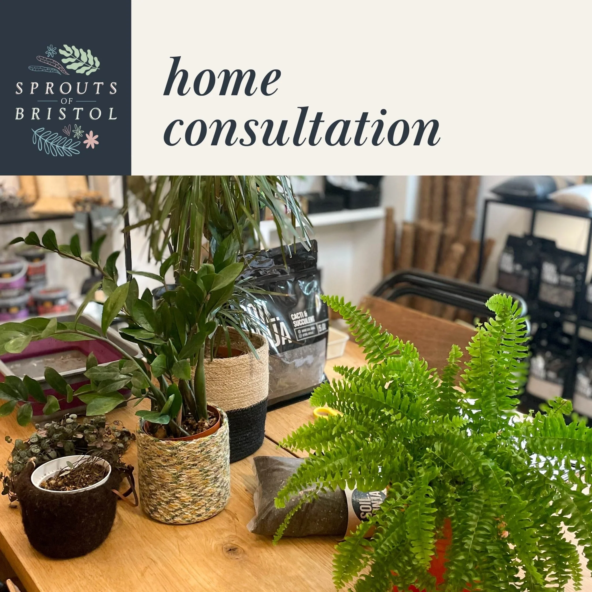 Home Consultation