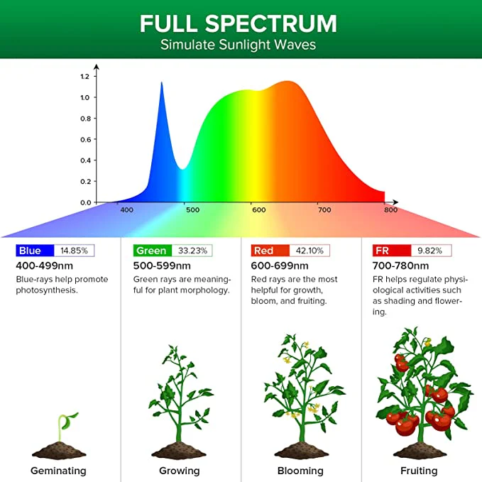Plant Grow Light Bulbs - Image 5