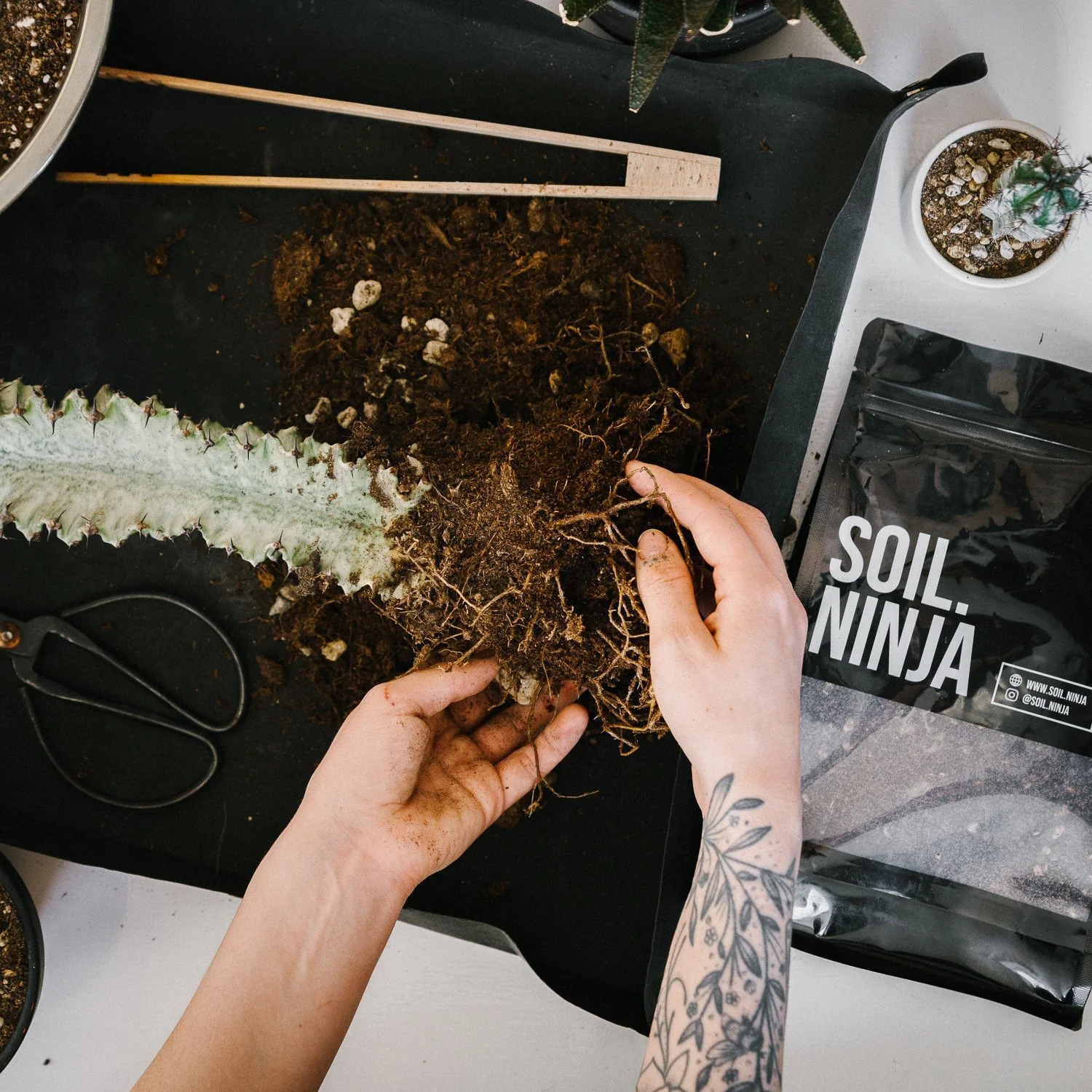 Premium Cacti and Succulent Soil Mix - Image 5