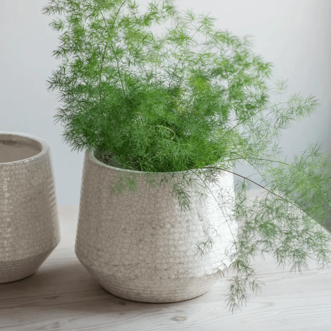 Ravello Ridged Pot