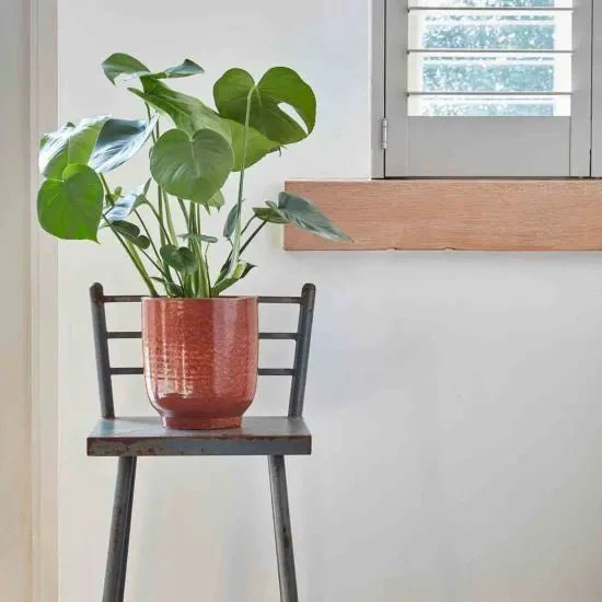 Reactive Glaze Burnt Orange Planter - Image 2