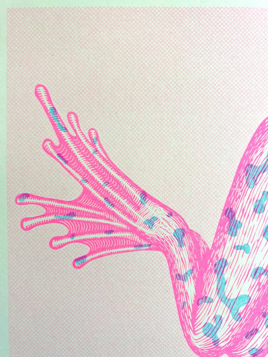 'Ribbit For Her Pleasure' Sexy Frog Riso Art Print - Image 4