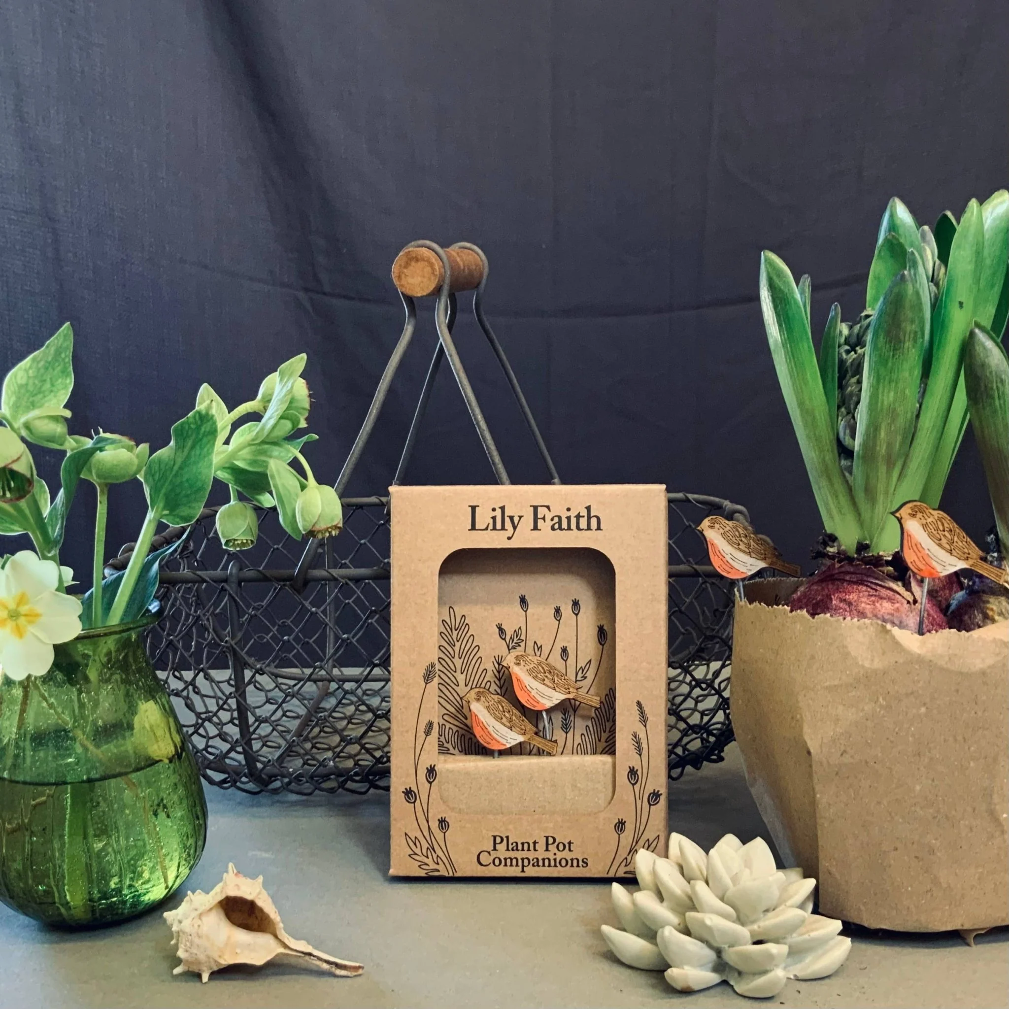 Robin Plant Pot Companions - Image 4