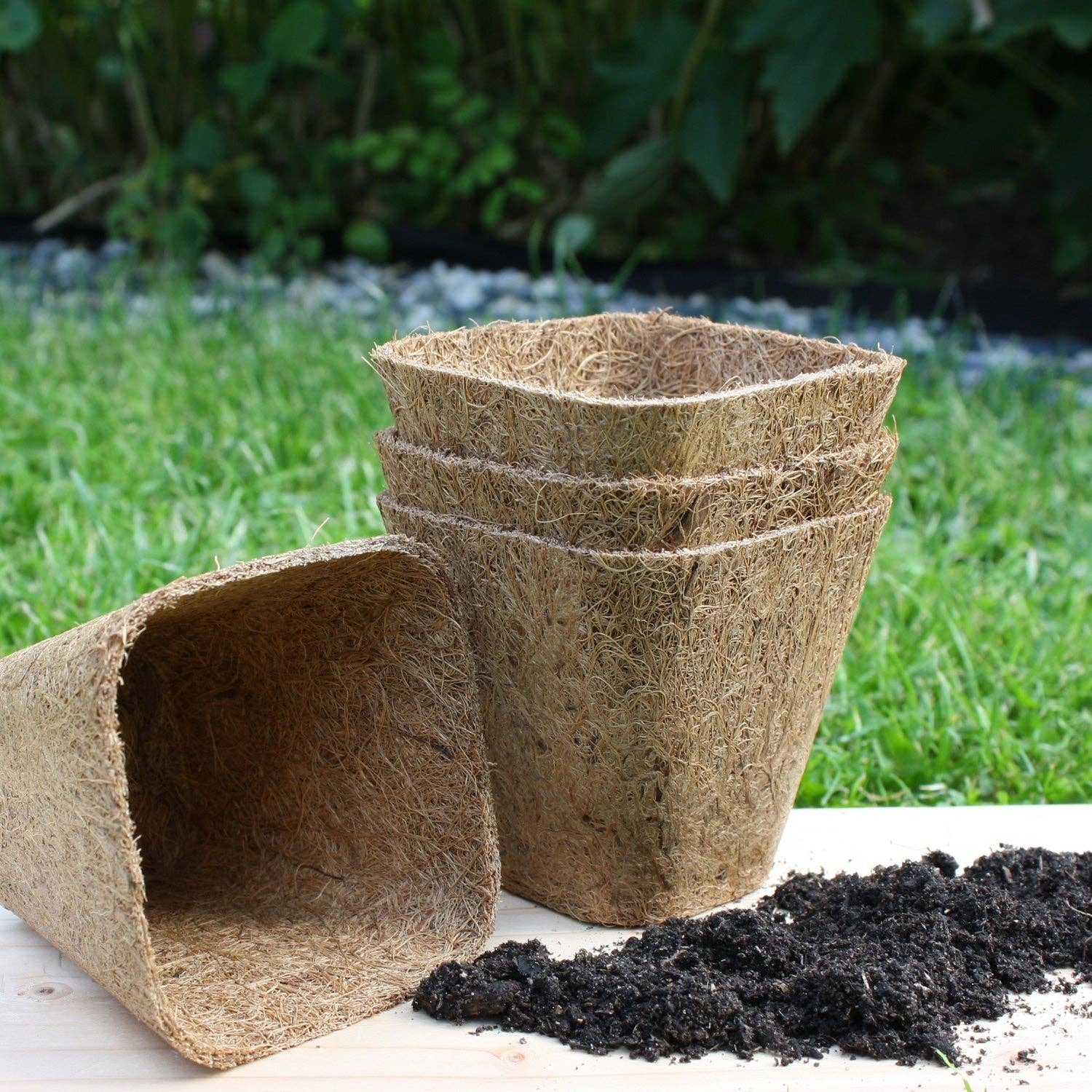 Rubberised Certified Organic Coir Seedling Pots: 5cm - Image 3