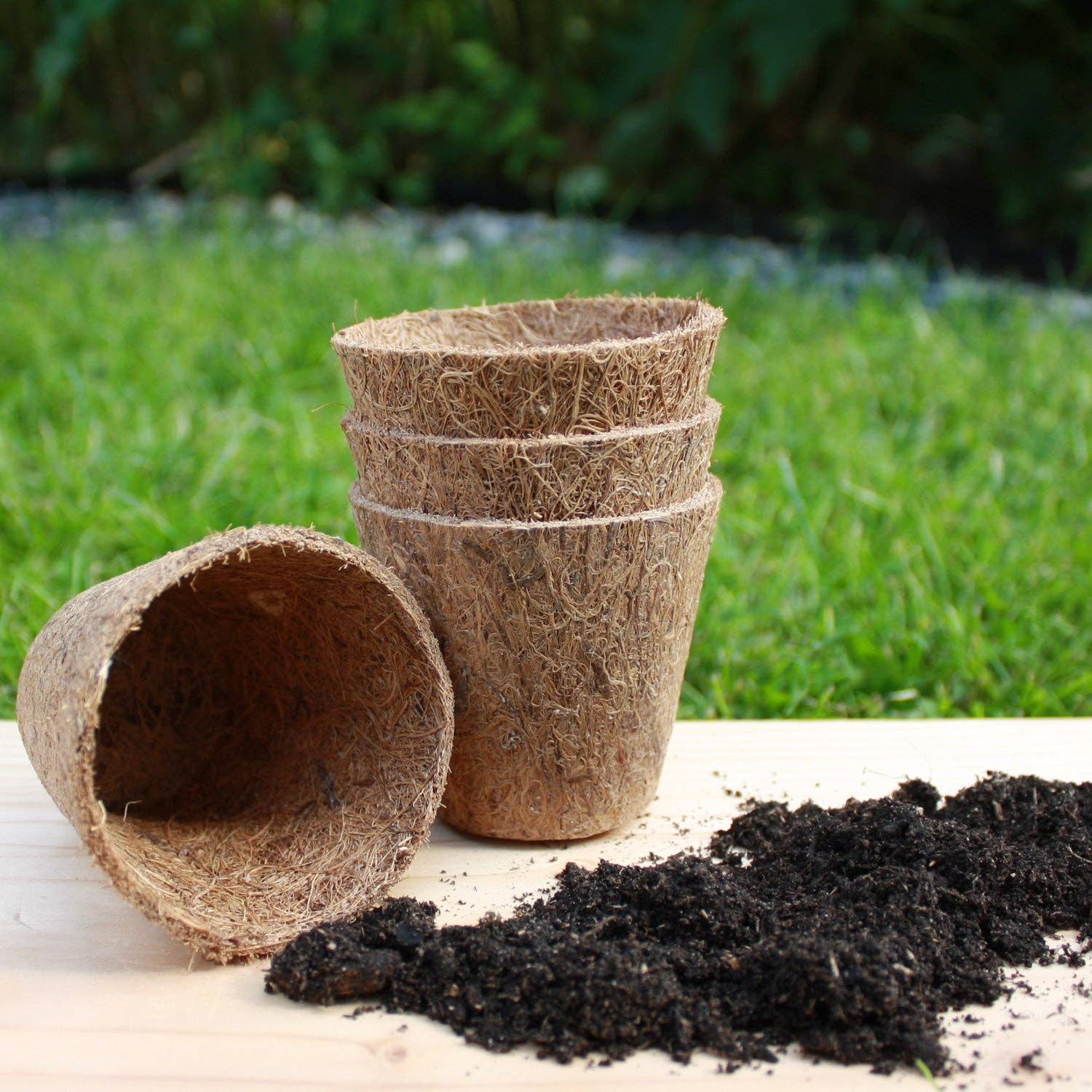 Rubberised Certified Organic Coir Seedling Pots: 8cm - Image 3
