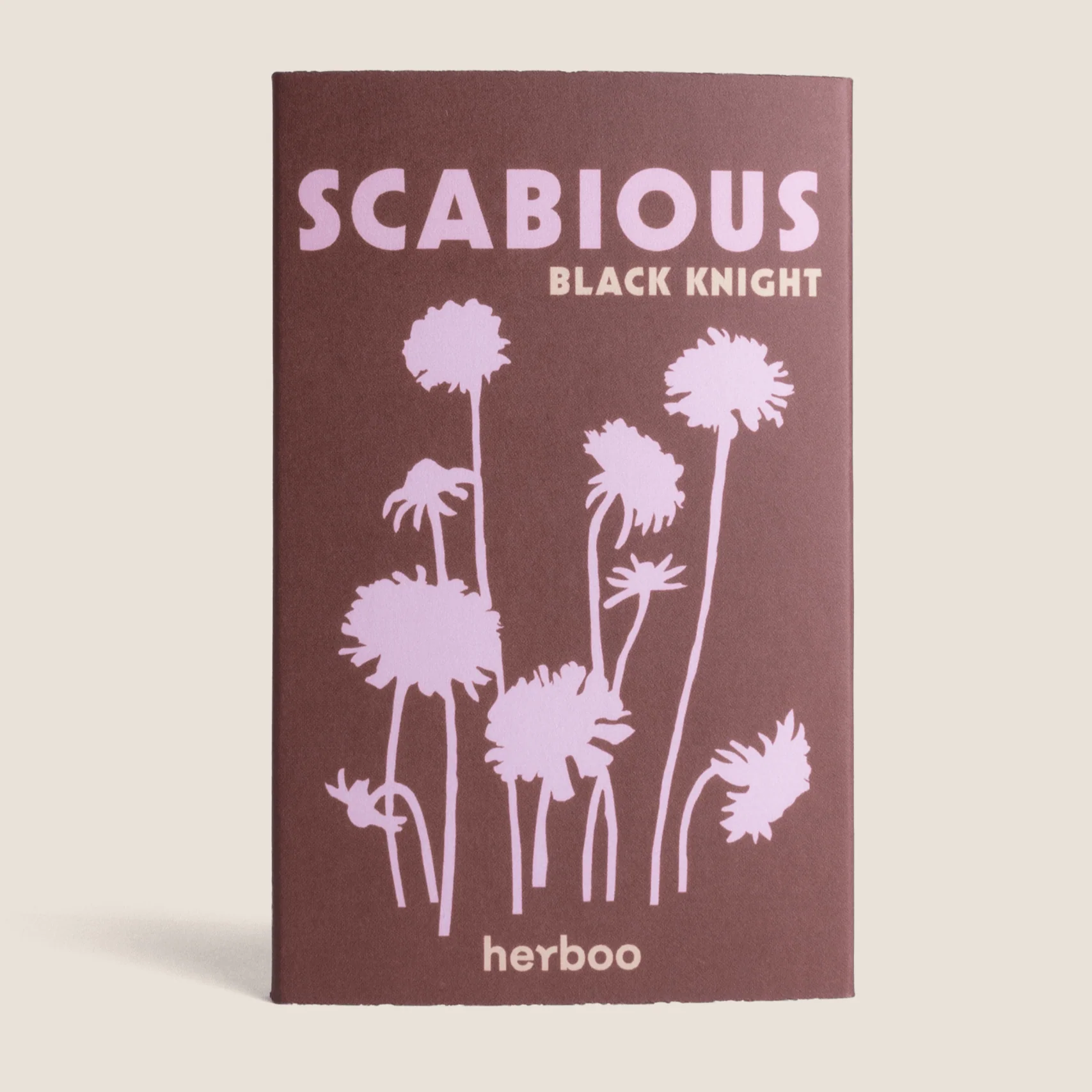 Scabious 'Black Knight' Seeds - Image 2