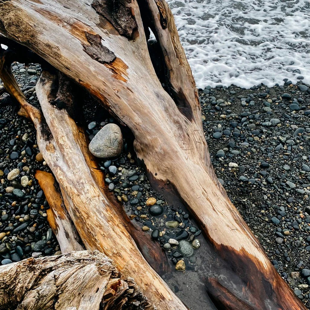 Sea Moss & Driftwood Scented Tin Candle - Image 4