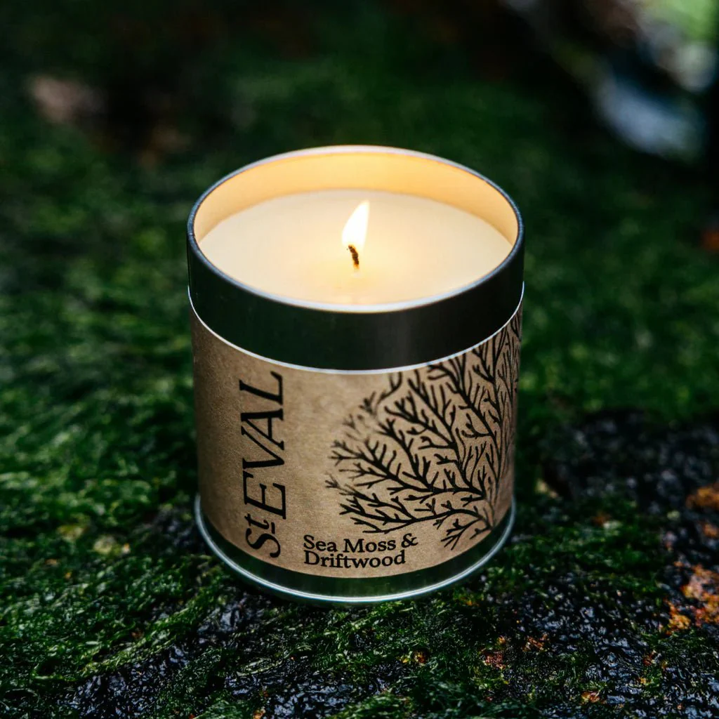 Sea Moss & Driftwood Scented Tin Candle - Image 5