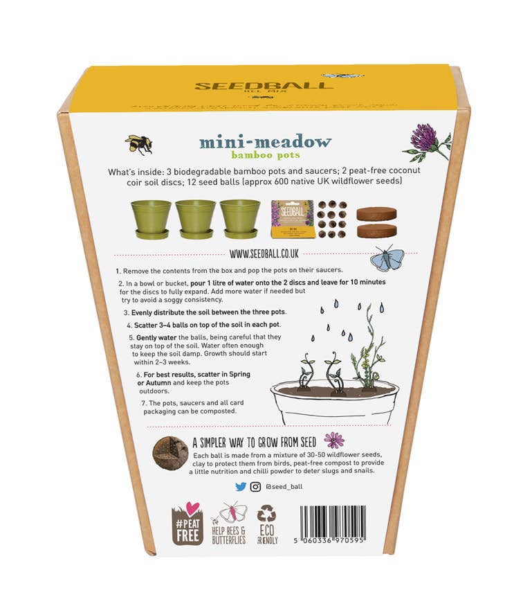 Seedball Meadow Pots - Bee Mix - Image 2