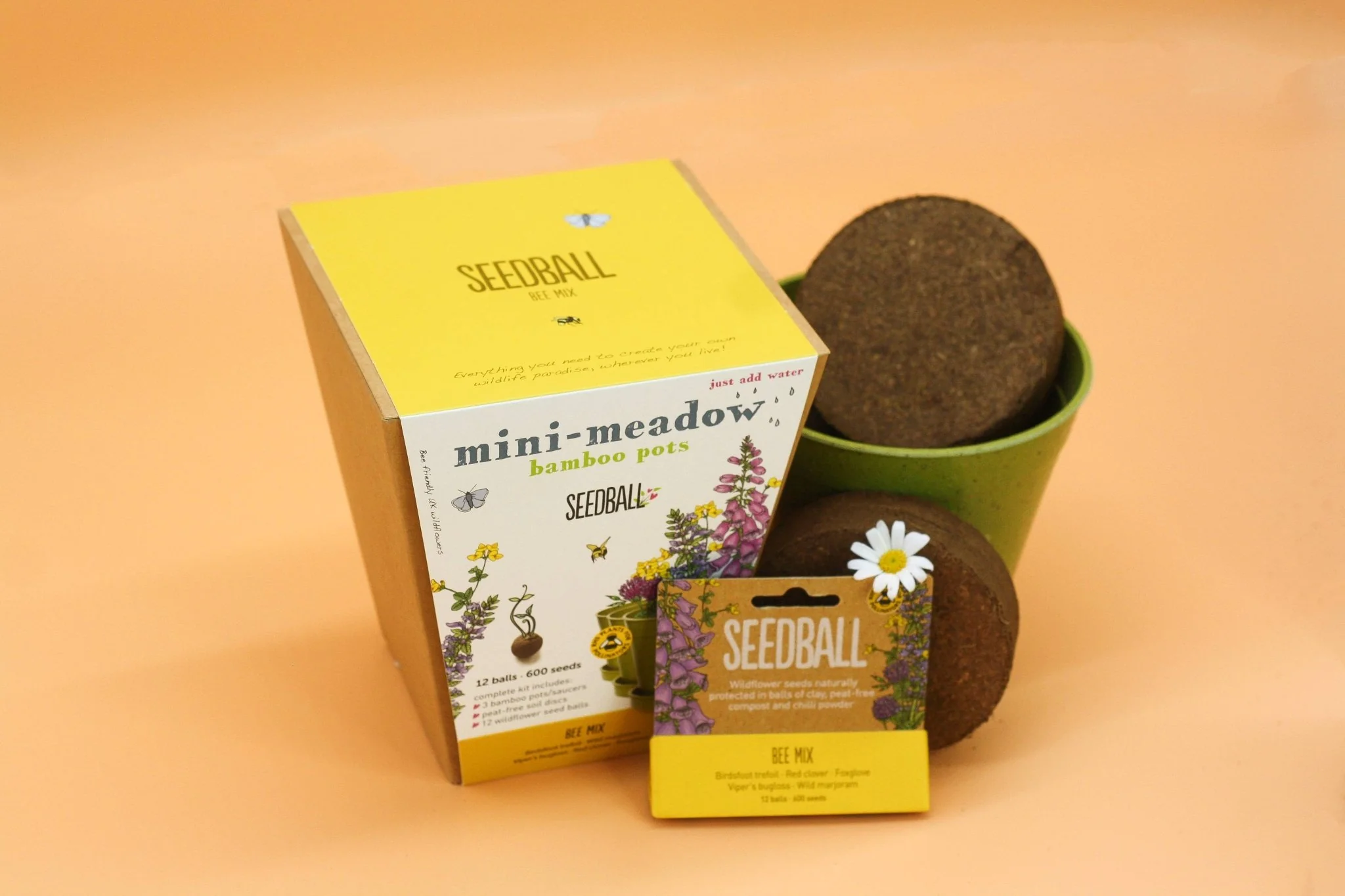 Seedball Meadow Pots - Bee Mix - Image 3