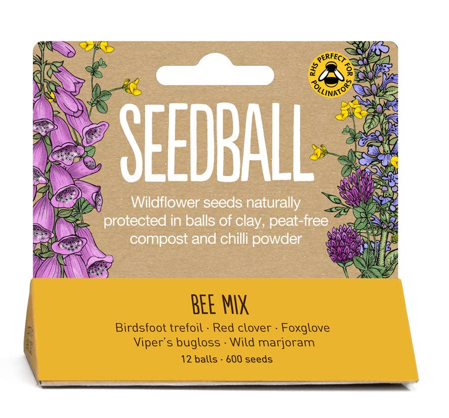 Seedball Meadow Pots - Bee Mix - Image 4