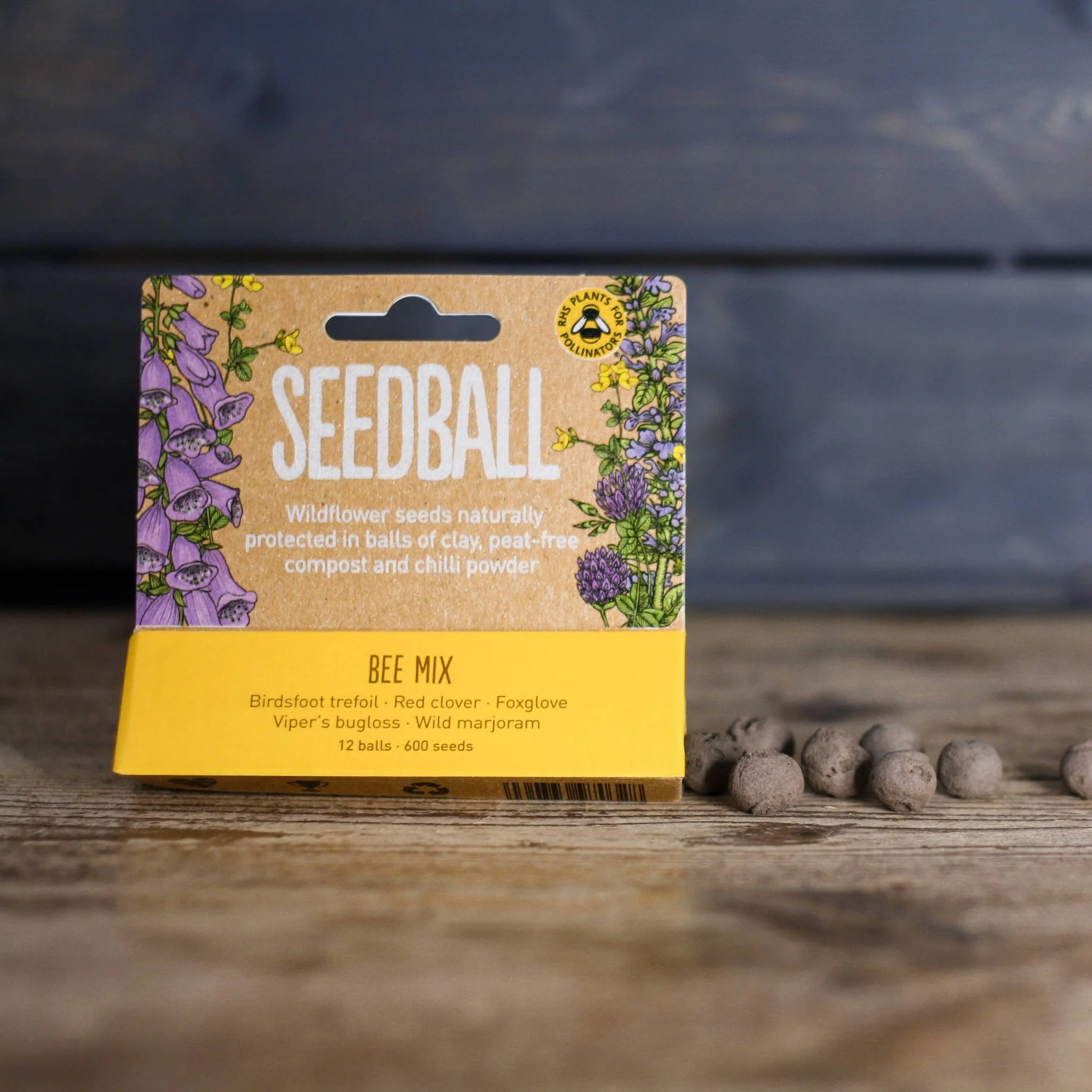 Seedball Meadow Pots - Bee Mix - Image 5