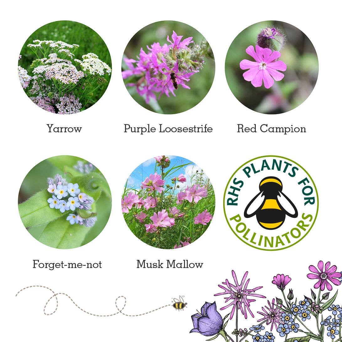 Butterfly Mix - Wildflower Grab Bag - Image 5