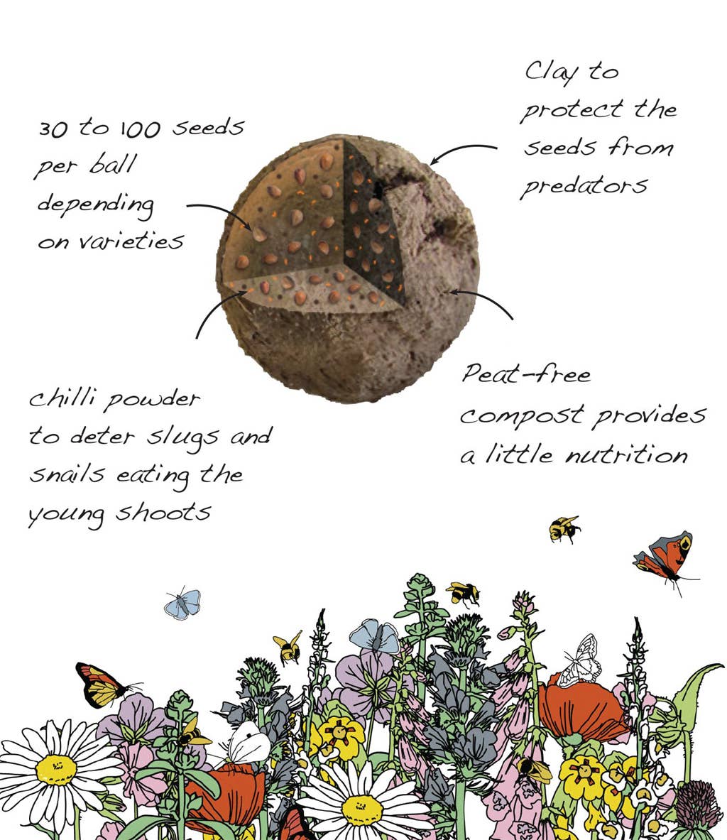 Butterfly Mix - Wildflower Grab Bag - Image 9