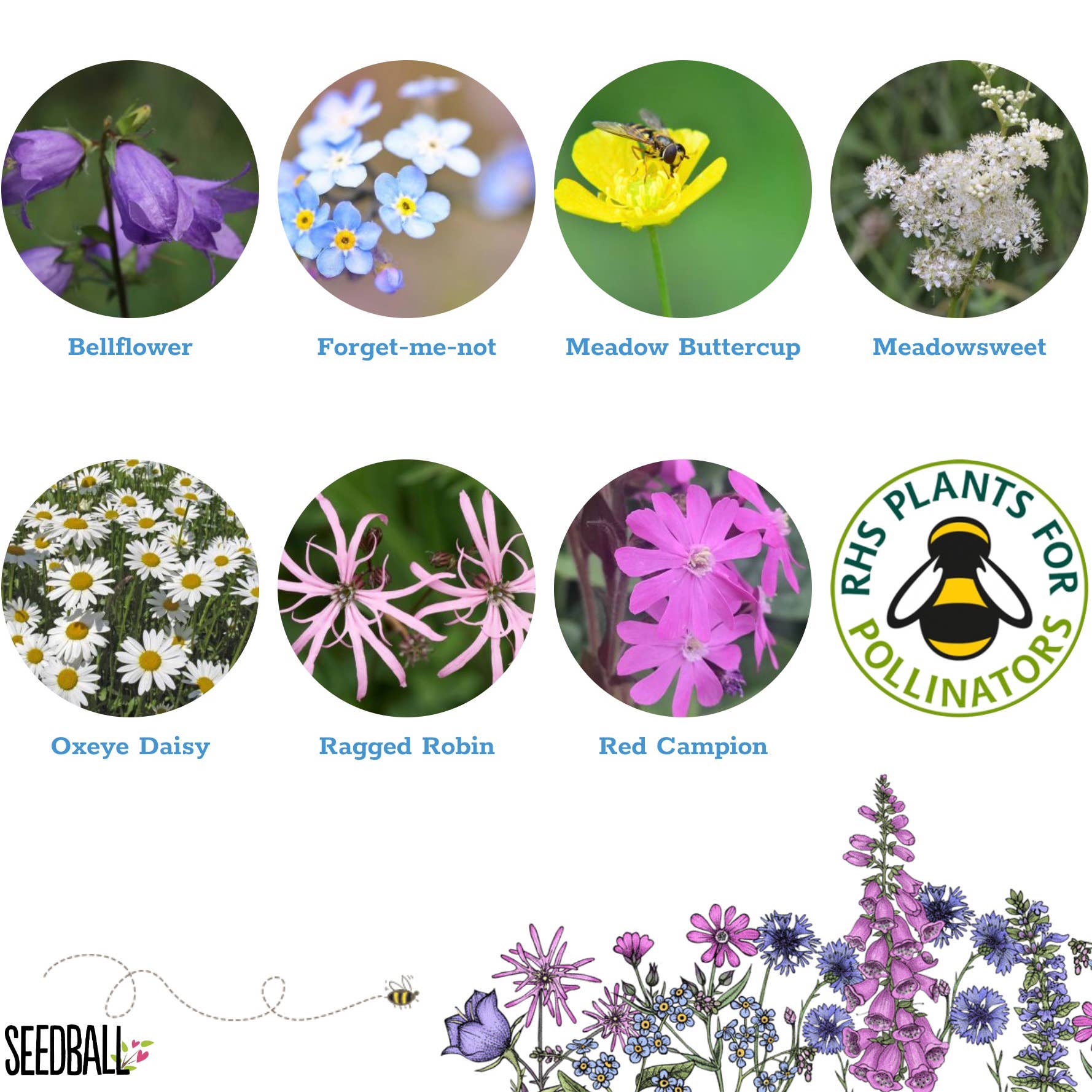 Shade Mix - Wildflower Grab Bag - Image 4