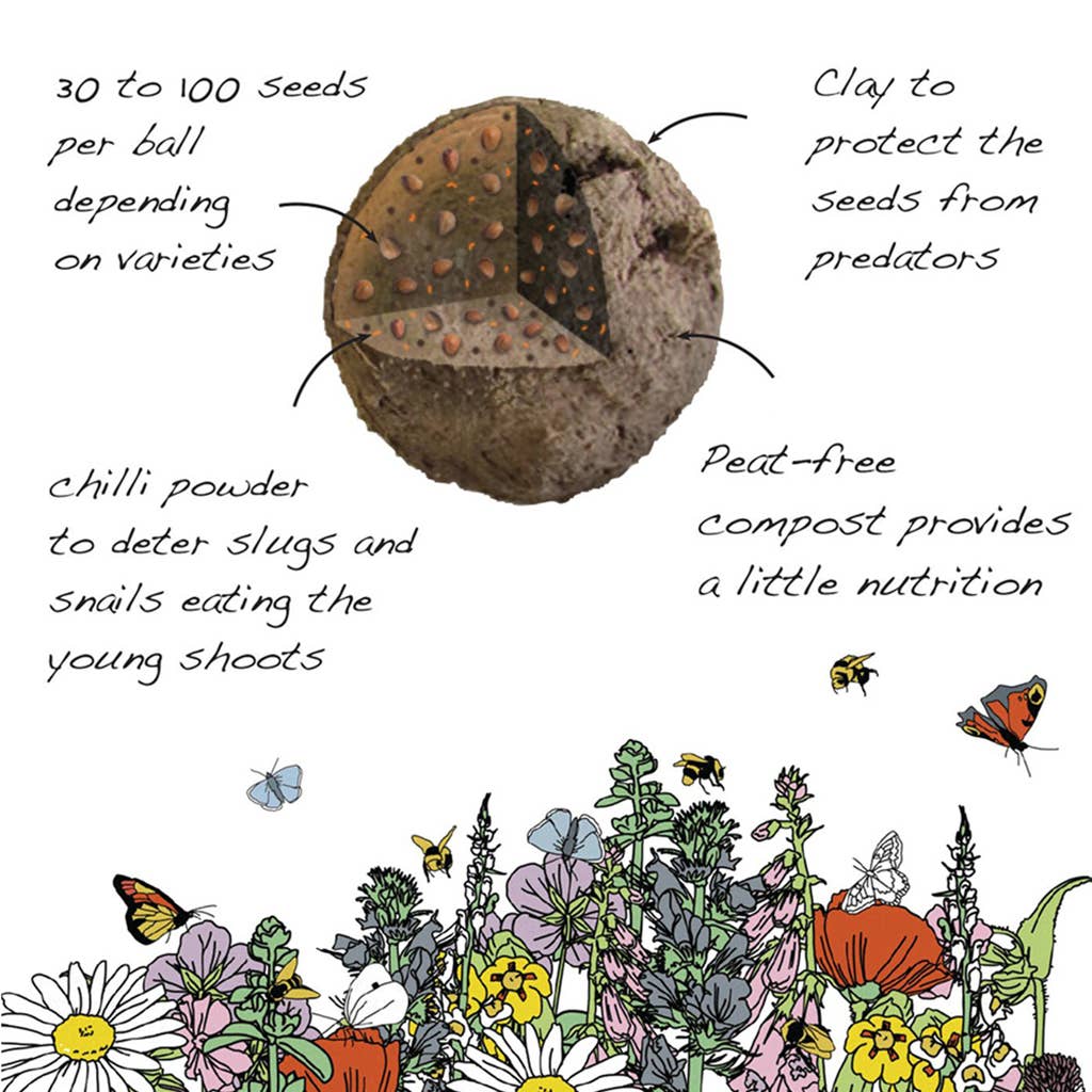 Shade Mix - Wildflower Grab Bag - Image 8