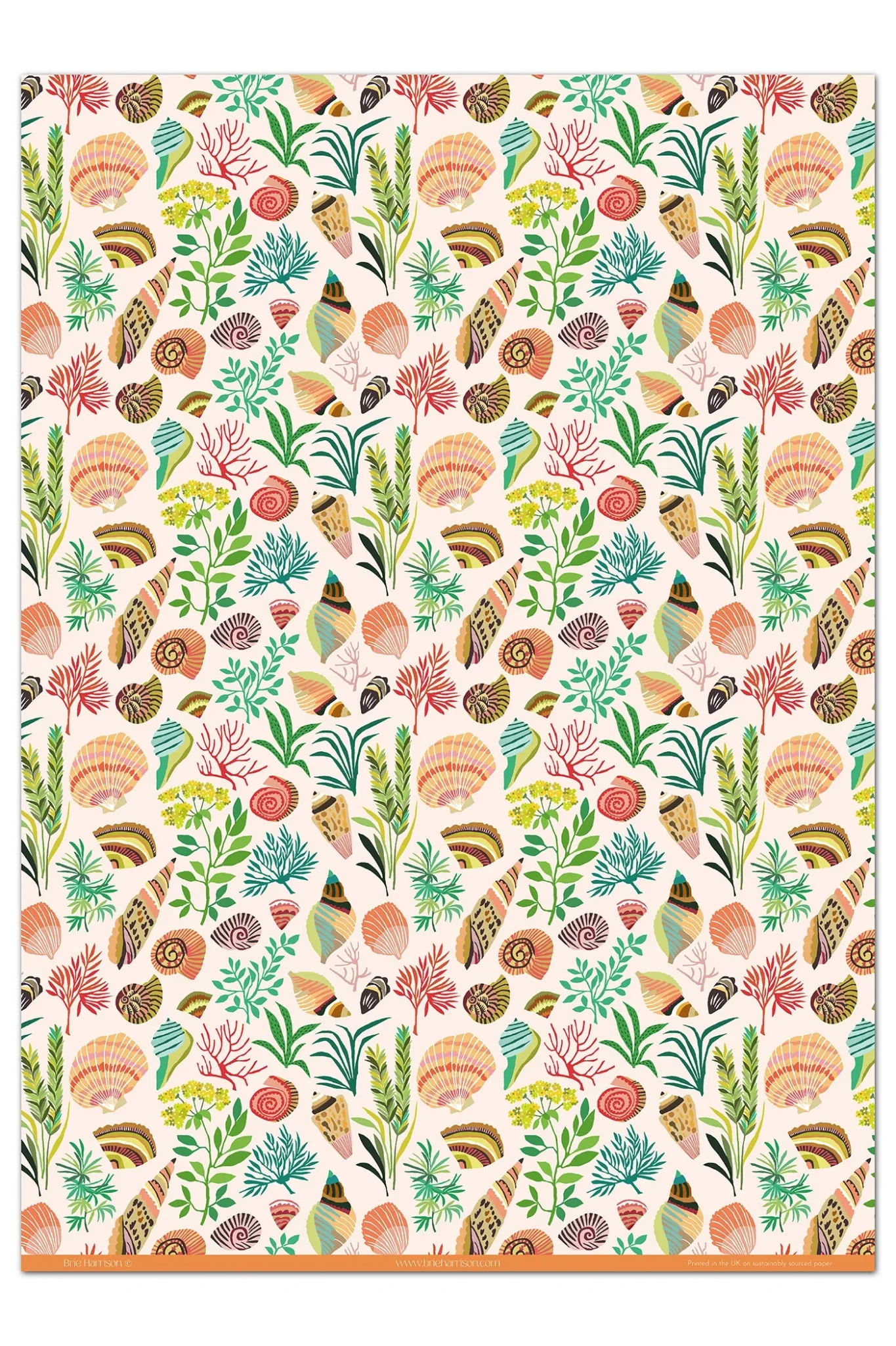 Shells Gift Wrap
