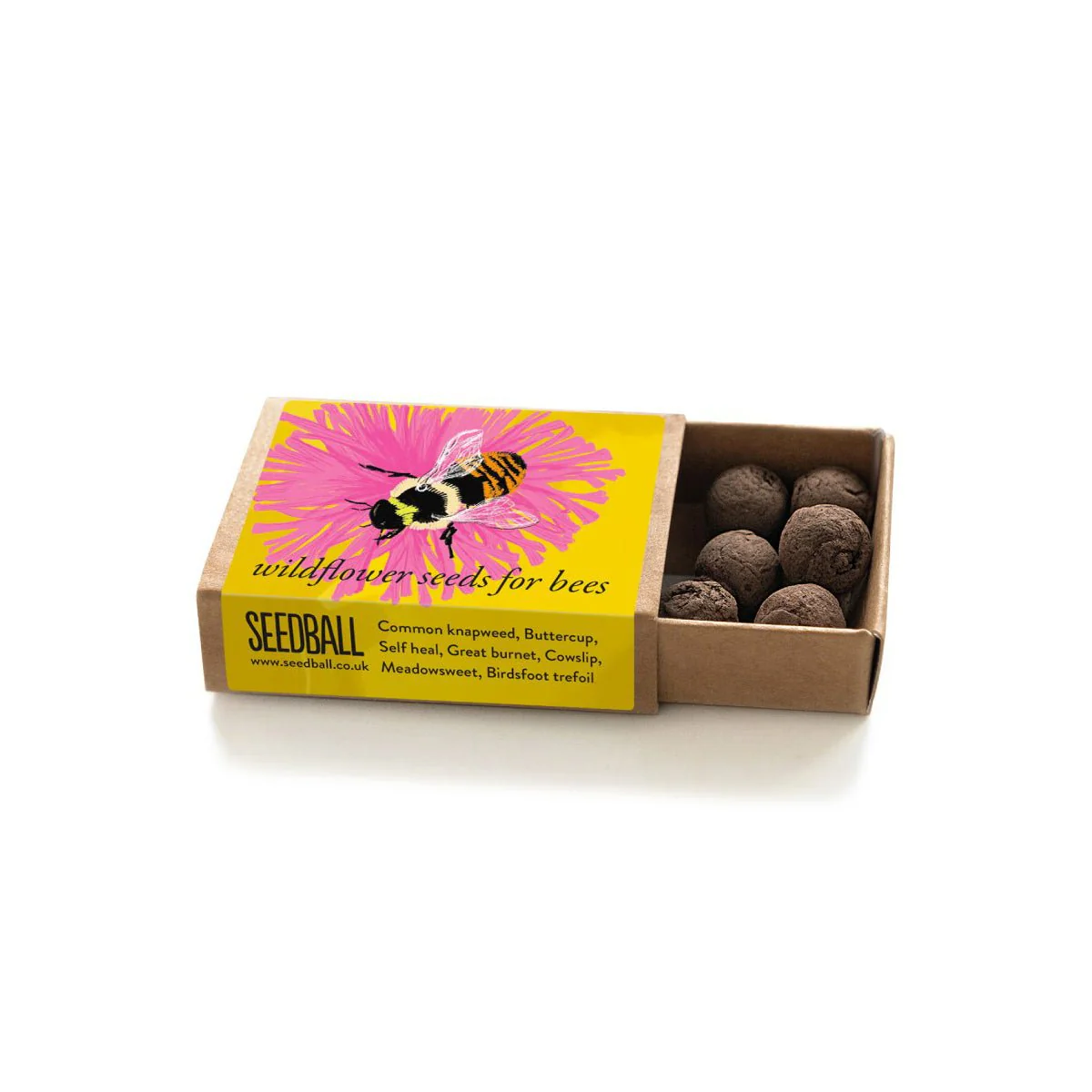 Shrill Carder Bumblebee Seedball Box