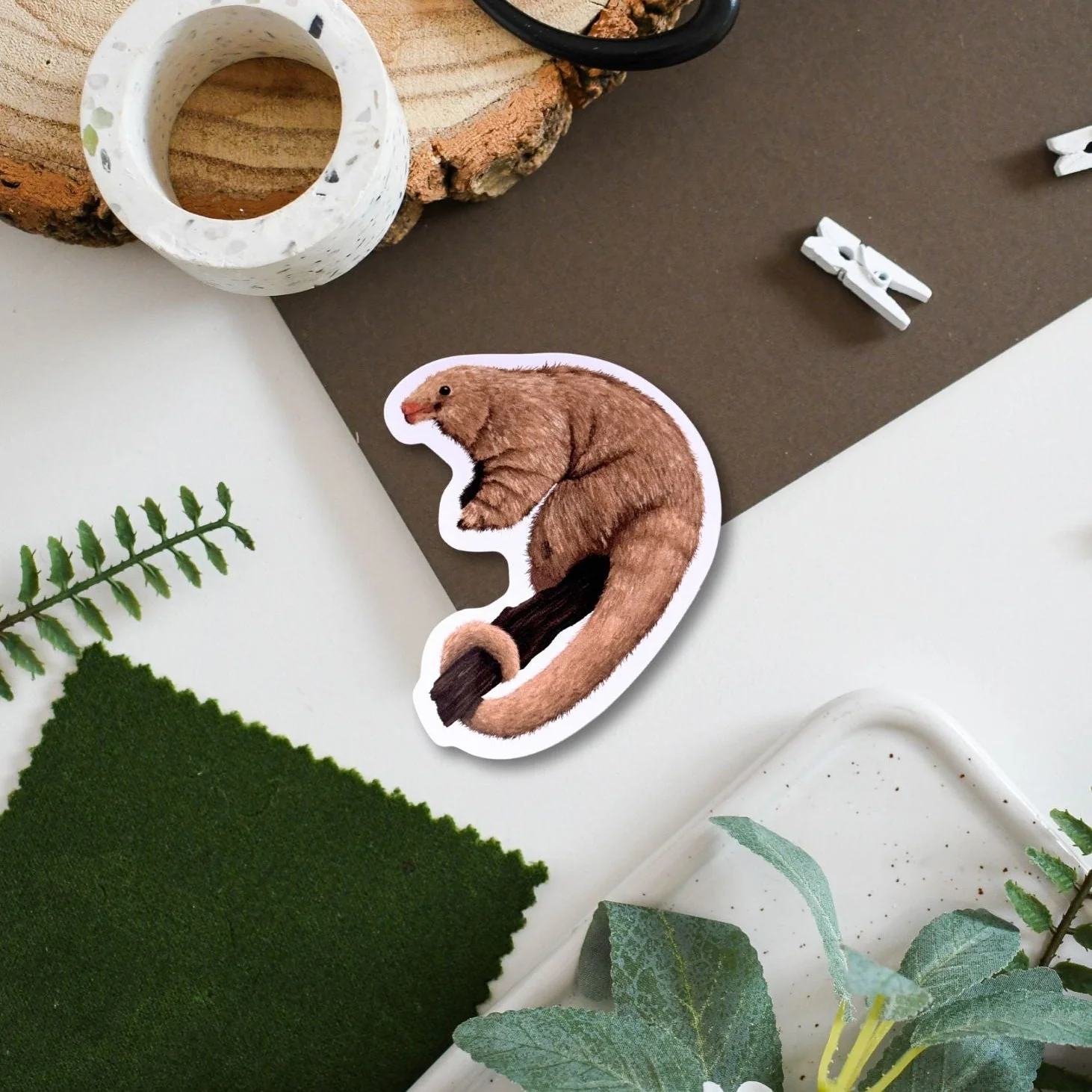 Silky Anteater Amazon Wildlife Vinyl Sticker [Beneath the Canopy RHS Collab]