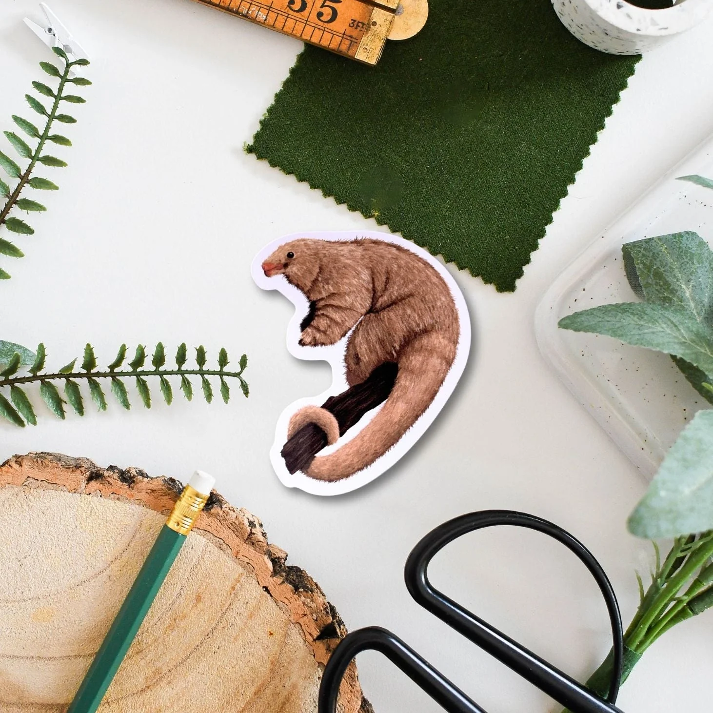 Silky Anteater Amazon Wildlife Vinyl Sticker [Beneath the Canopy RHS Collab] - Image 2