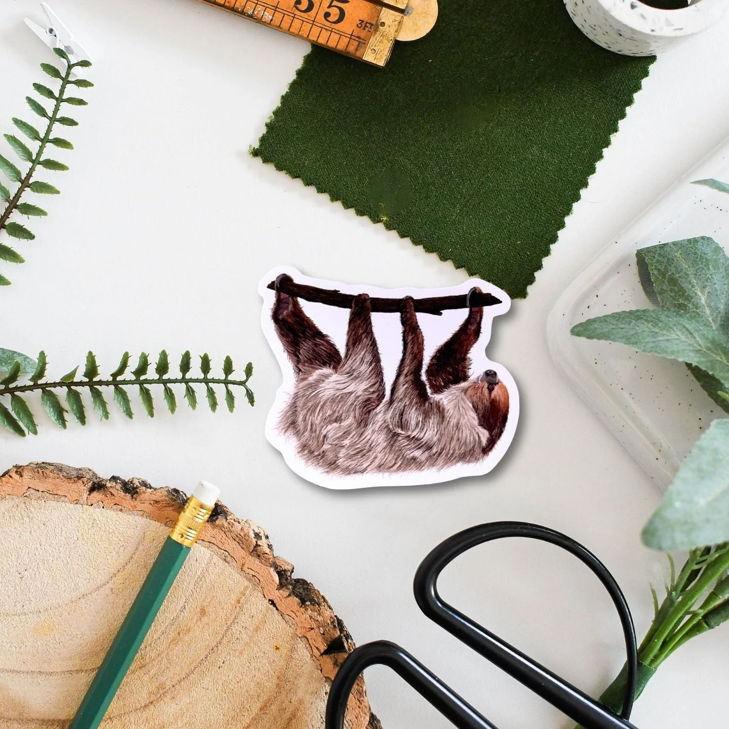 Sloth Wildlife Vinyl Sticker [Beneath the Canopy RHS Collab] - Image 2