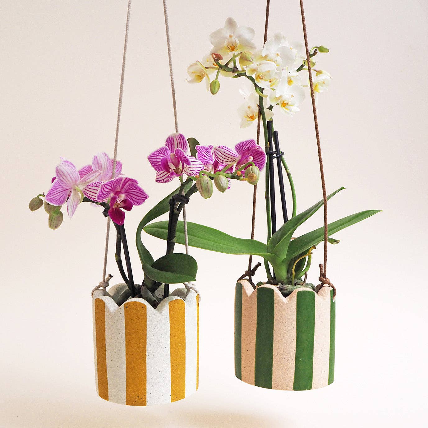 Olive Green & White Stripy Hanging Pot
