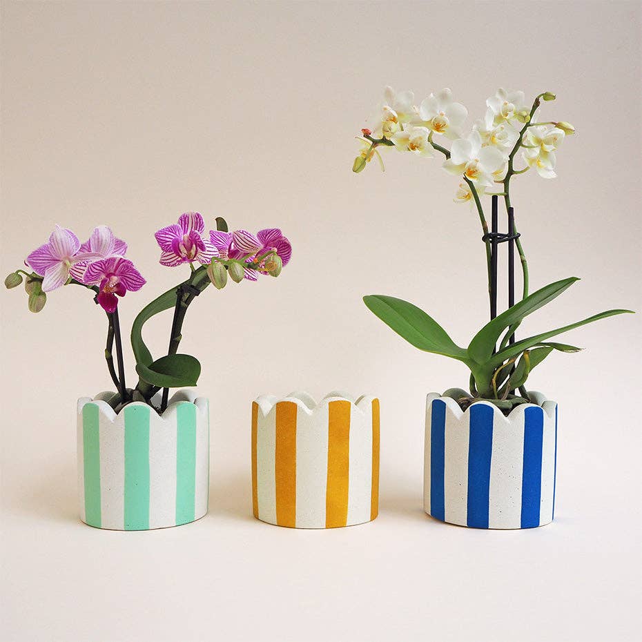 Mint Green Stripy Scalloped Pot