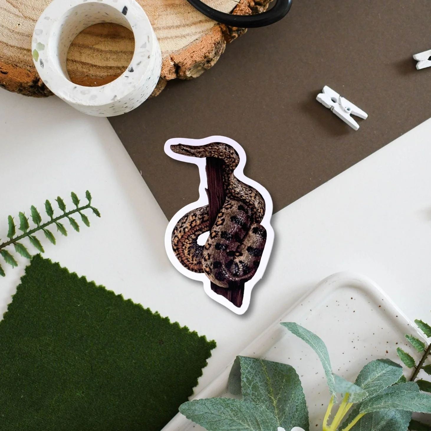 Snake Wildlife Vinyl Sticker [Beneath the Canopy RHS Collab]