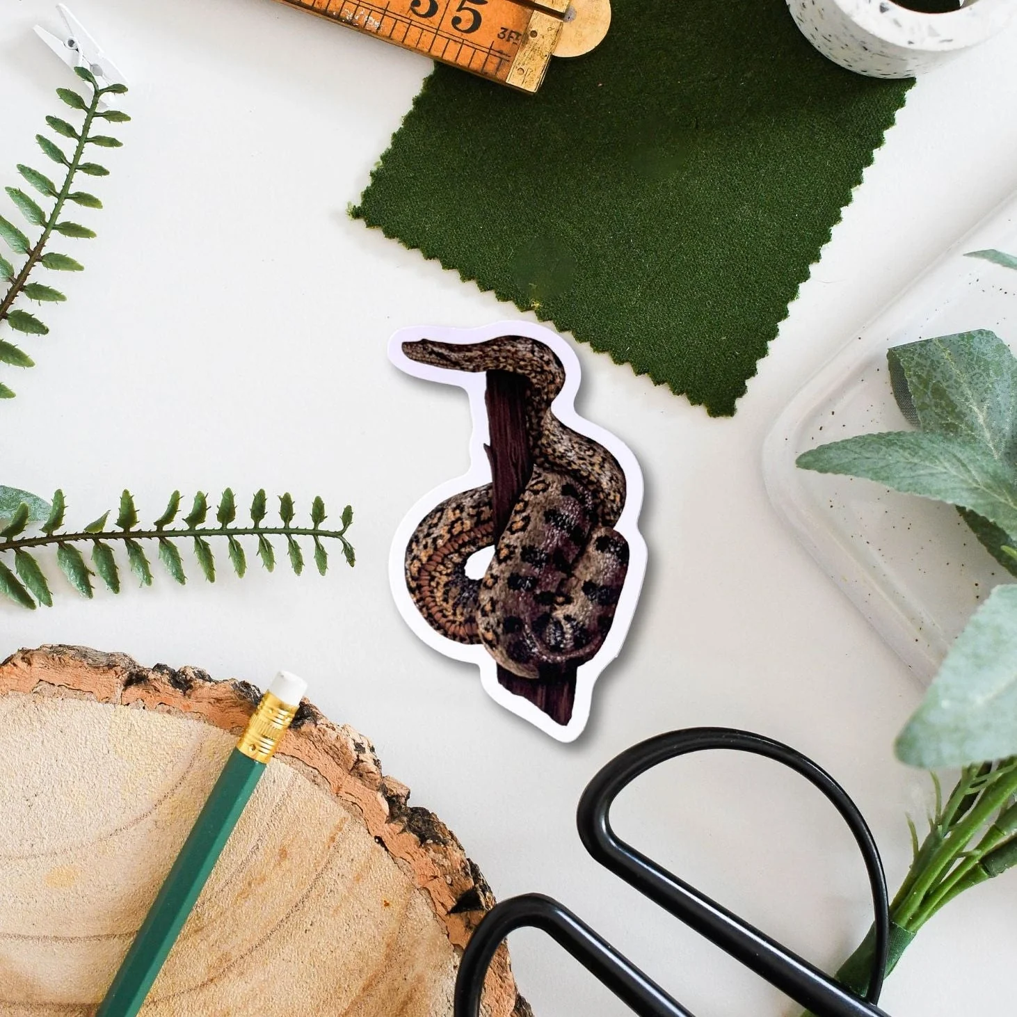Snake Wildlife Vinyl Sticker [Beneath the Canopy RHS Collab] - Image 2