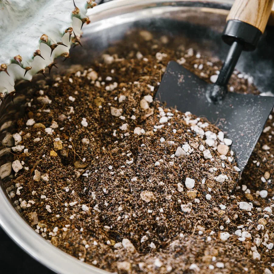 Soil Ninja by the Scoop – Specialist Houseplant Soils