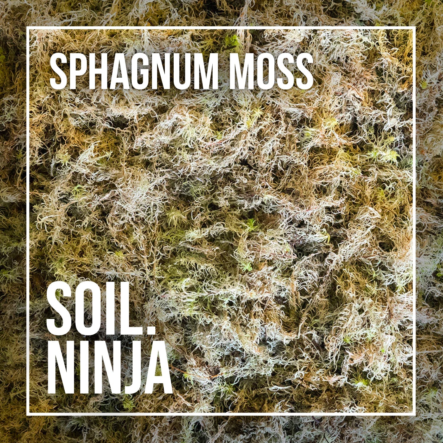 Sphagnum Moss - Soil Component