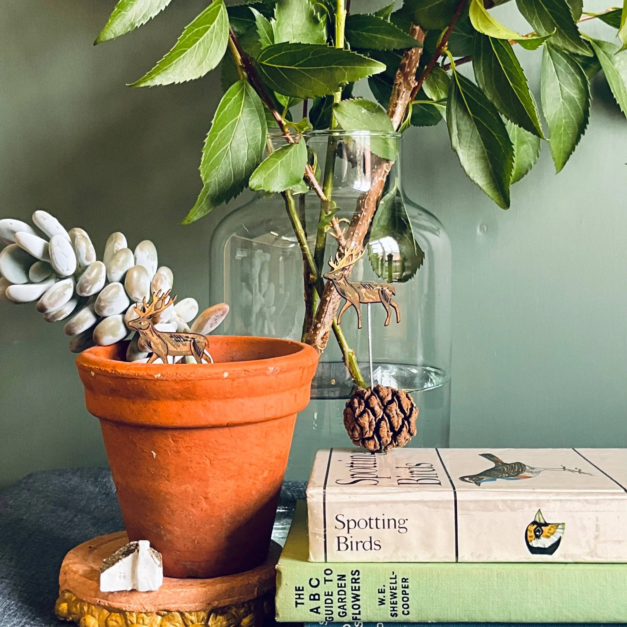 Stag Plant Pot Companions - Image 2