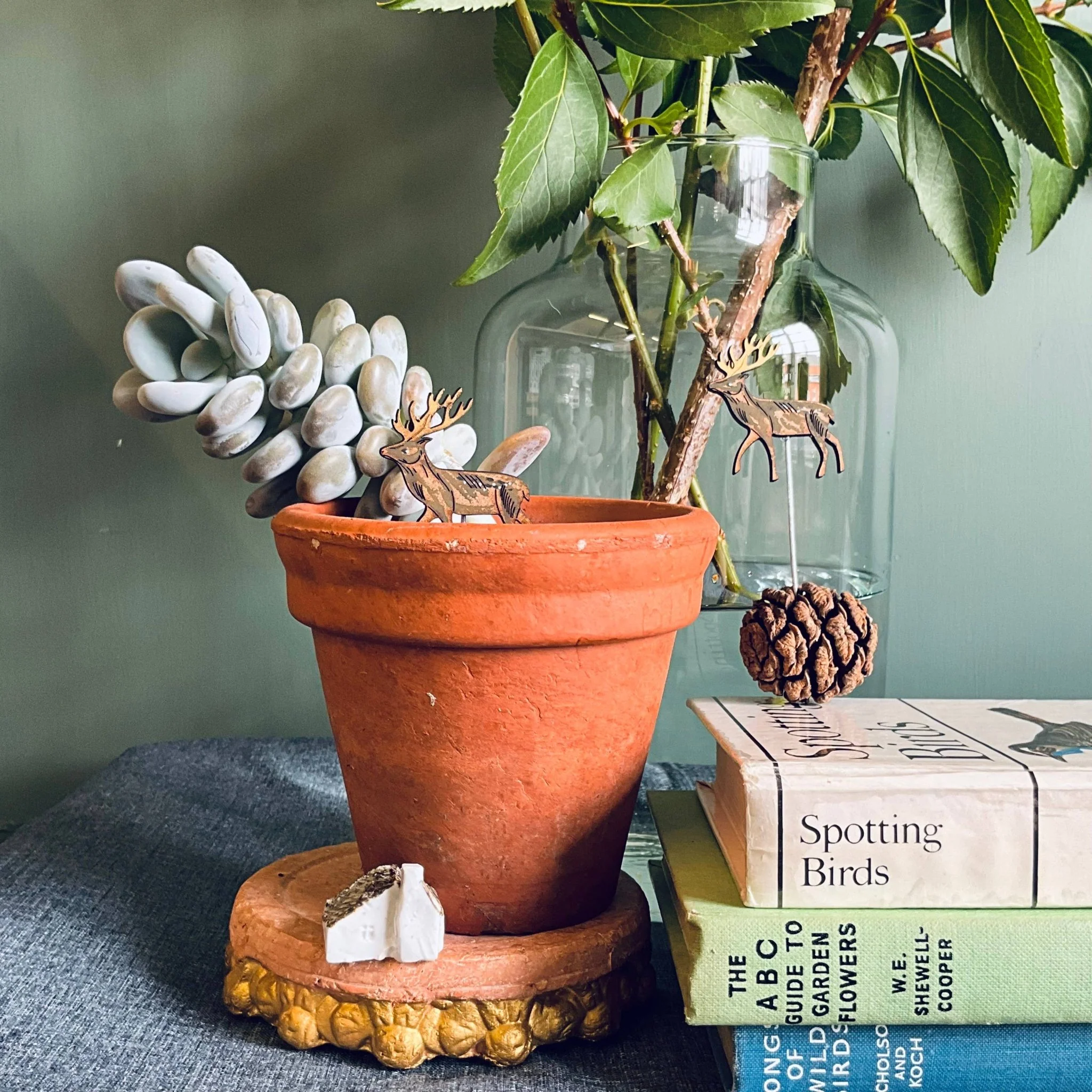Stag Plant Pot Companions - Image 4