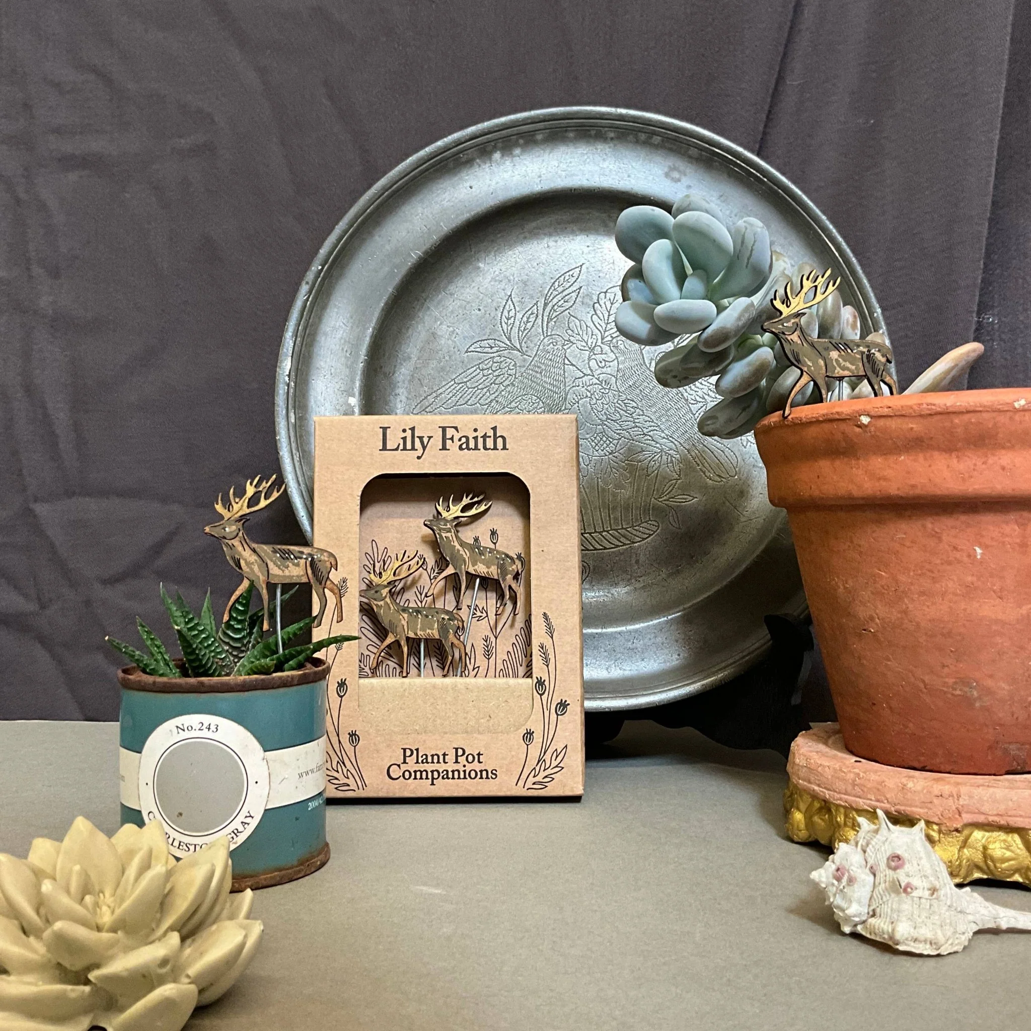 Stag Plant Pot Companions - Image 5