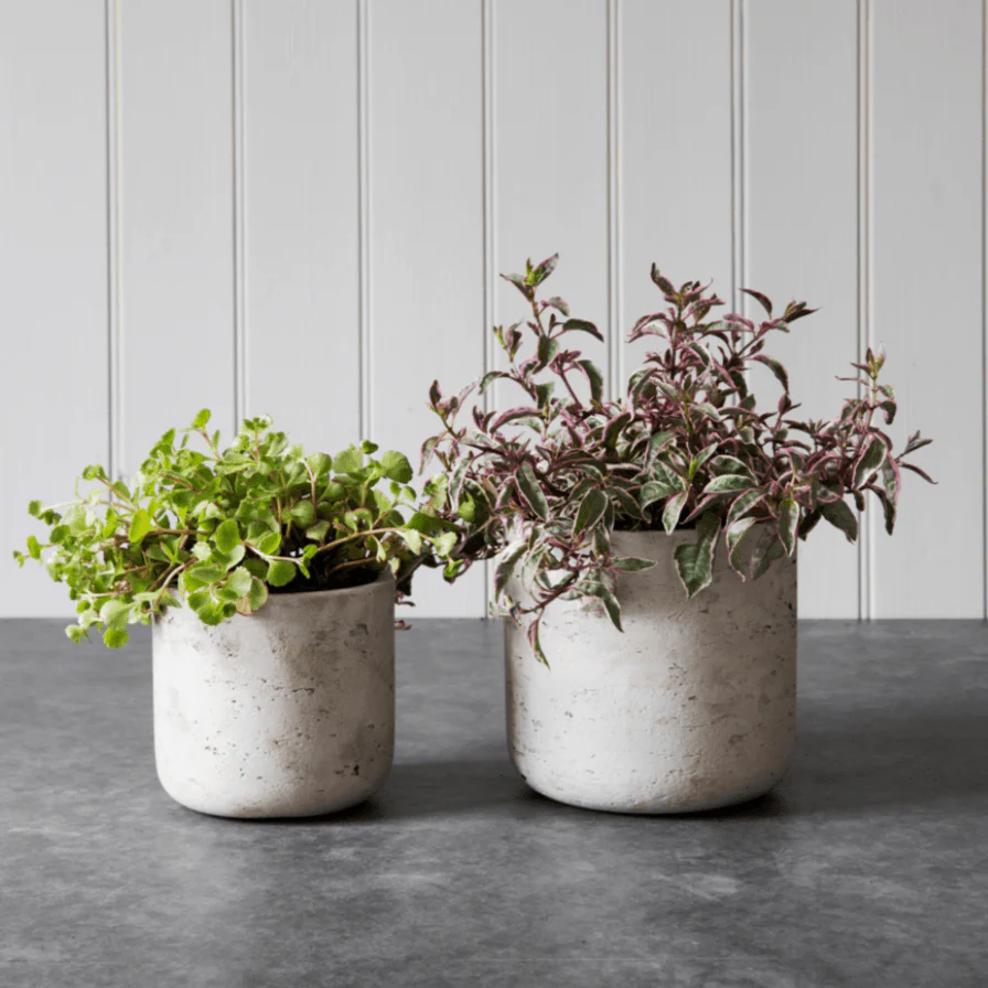 Straight Stratton Pot - Warm Stone