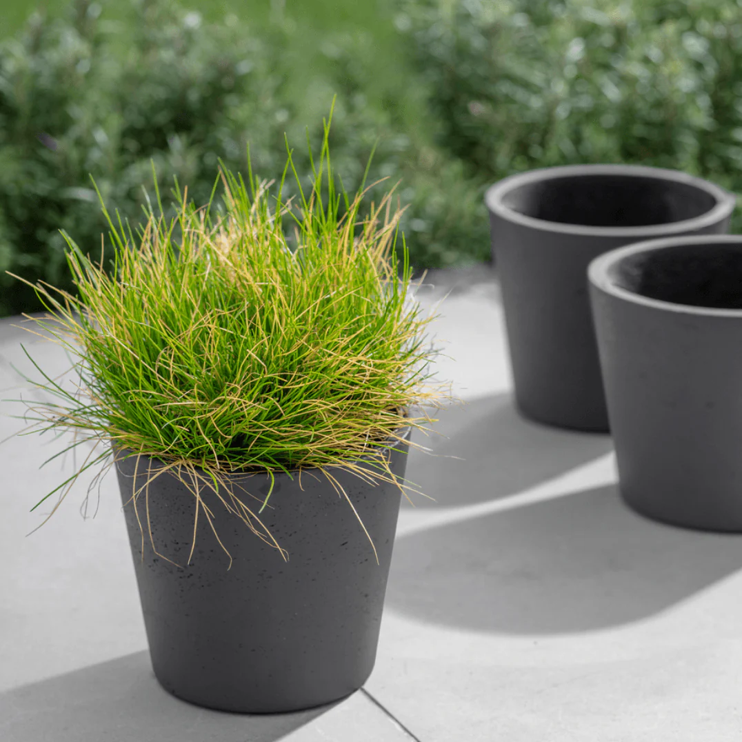 Stratton Pot - Carbon